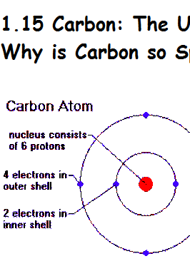 carbon atom   5